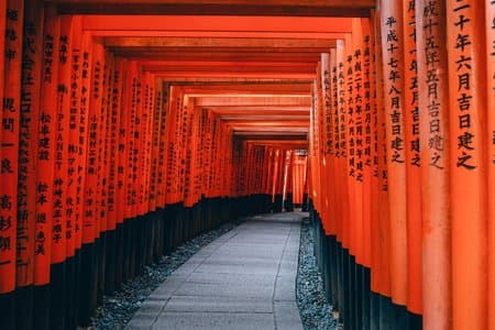 Visite de la Corée du Sud et du Japon