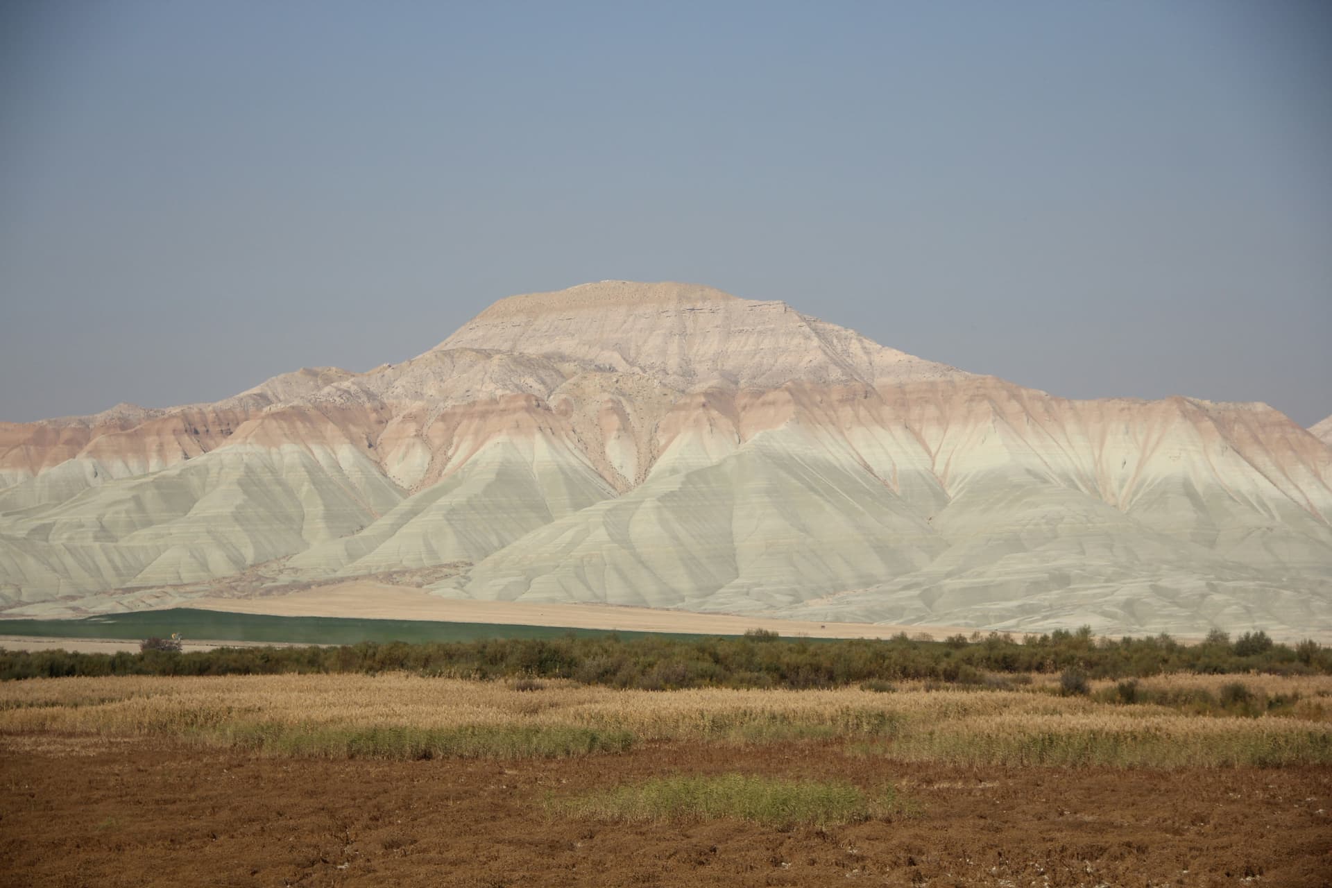 Nallihan-Vogelschutzgebiet-Feuchtgebiet