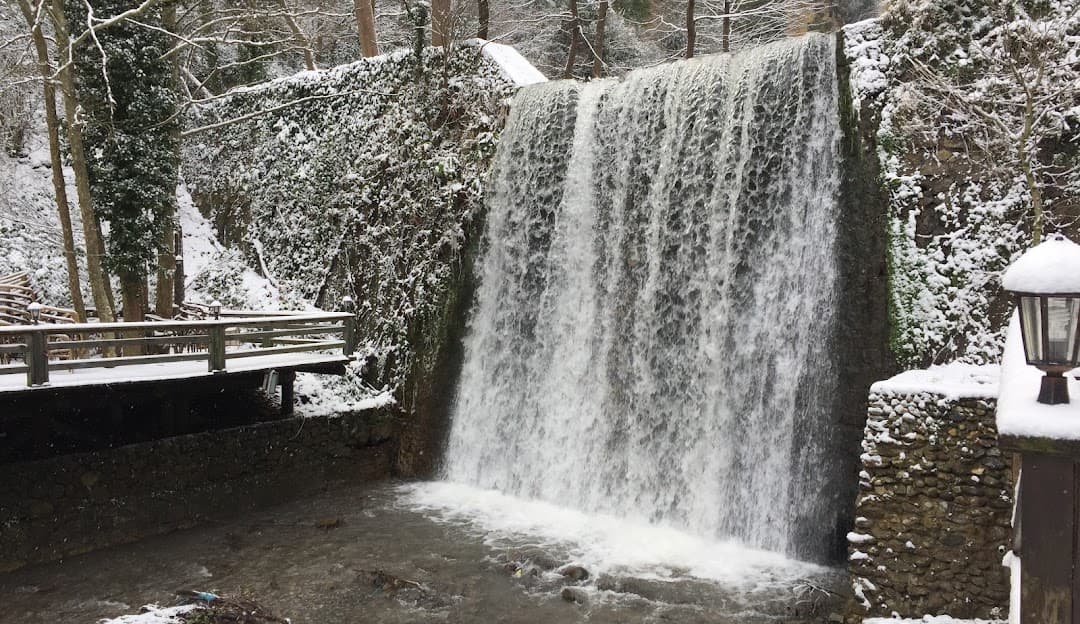 Yeme-İçme: Doğal Lezzetler